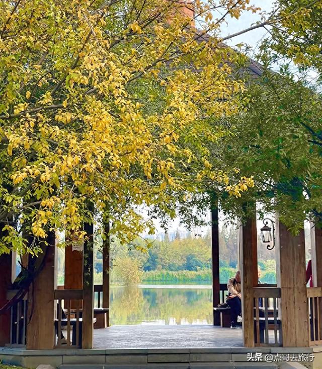 成都超级低调奢华的公园，色彩斑斓，被严重低估，公交车直达！