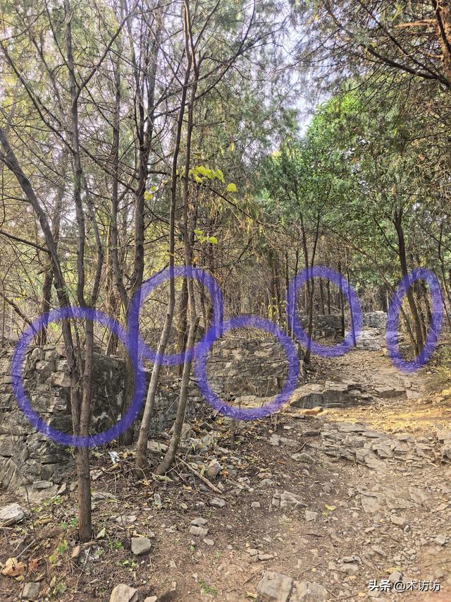 拖龙山寻找碉堡记