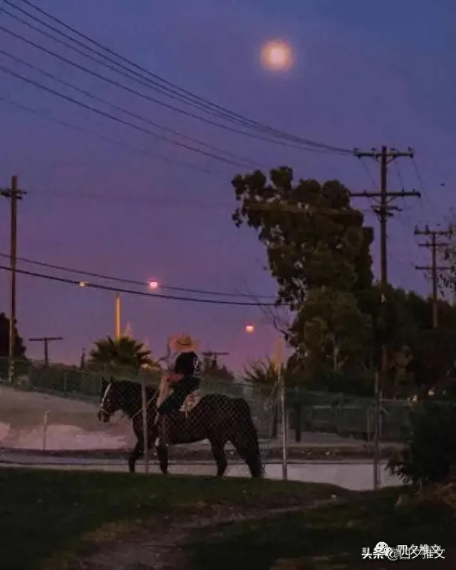 误入豪门夜莺攻略（完结新文｜追妻火葬场破镜重圆文）