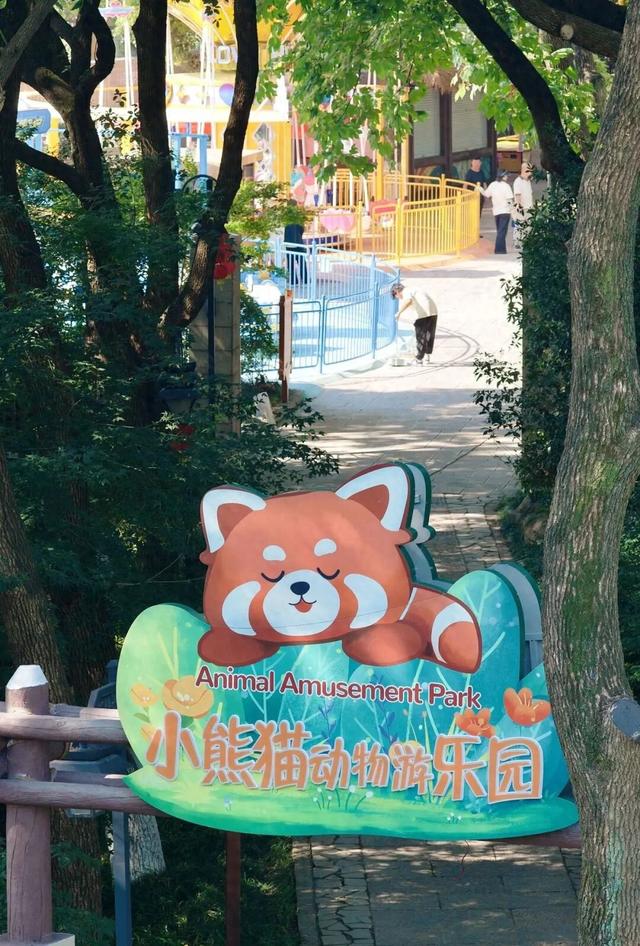 占地8500㎡！重磅回归！不少杭州人：心中的“白月光”啊…