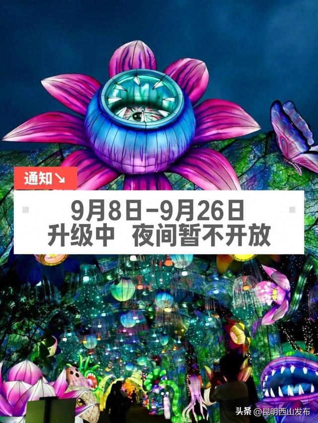 关于昆明市城市园林策展体验中心“巨型蘑菇艺术展”夜间暂停营业的通告