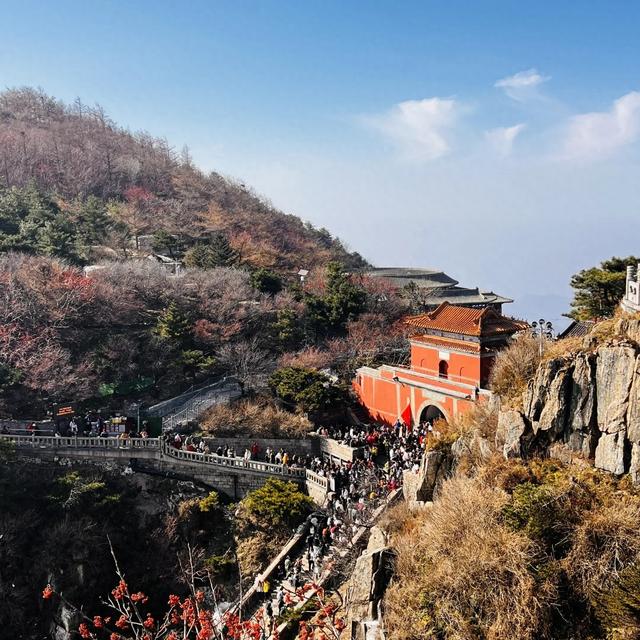 原创五绝诗《大美山东秋天更美》新韵