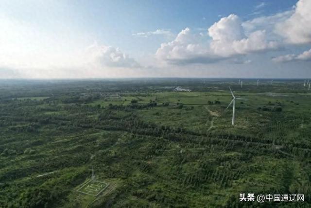 活力中国调研行 | 镜头见证→200万亩沙地绿浪奔涌，美景如画！
