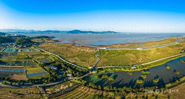 绿水青山的交响丨守护大美湿地 共享生态福祉