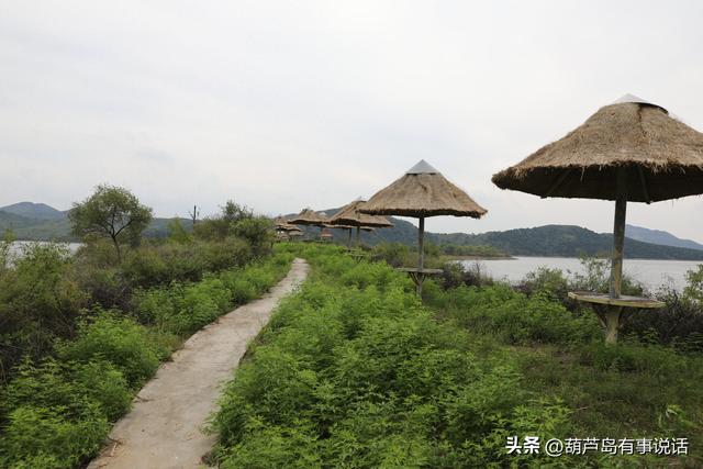 葫芦岛市水务集团打造乌金塘旅游靓丽新名片 赋能城市新发展