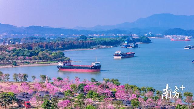 国庆来这就“GO”了！佛山文旅特色镇，均安上榜