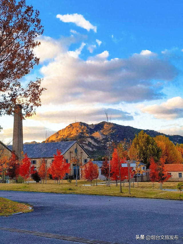 【乐游烟台】烟台开车1小时到达的小众赏秋秘境，人少景美！