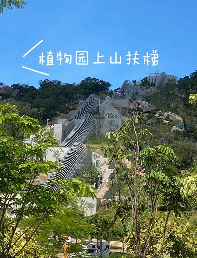 厦门植物园南门爬山电梯，海拔落差96米，登山瞰海的最美观景电梯