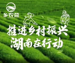 漫游益阳｜国庆不想人挤人？这座湘中小城藏着红色密码！