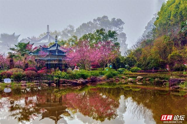 【赴春之约】株洲烈士纪念园：不只有庄严，还有被春天灌满的温柔