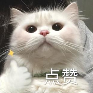 超治愈！赤峰居然集齐了这么多“秋色”