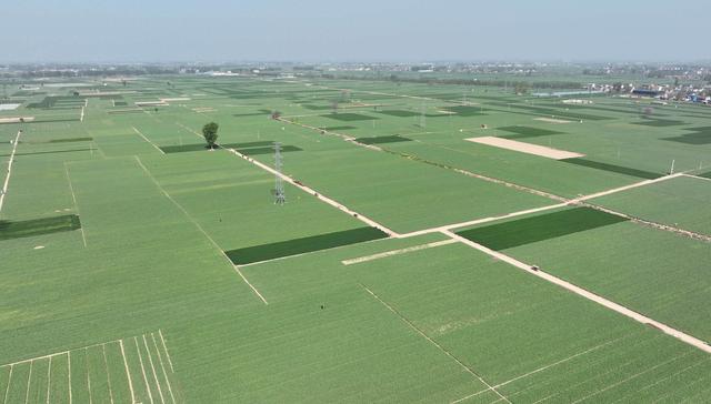 杞县图鉴：从千年文化到现代产业的视觉巡礼