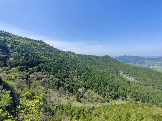 济南彩石蟠龙山森林公园，要休闲要清净要空气清新要清凉。不要钱