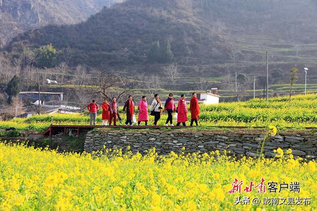 陇上江南冬日花韵