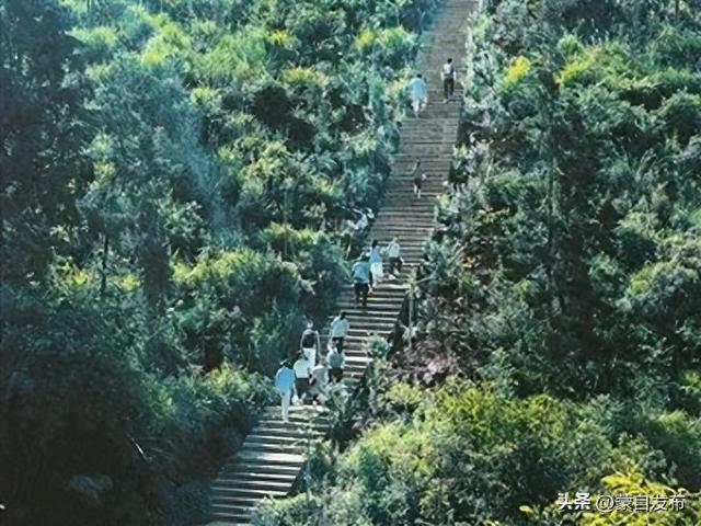 狼蟒山巅架“天梯”，蒙自登山步道催生“徒步热”→