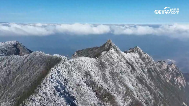 皖浙天路迎初冬首场雾凇 美不胜收