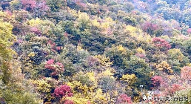 【晋城】秋天完了，你还没去这里→