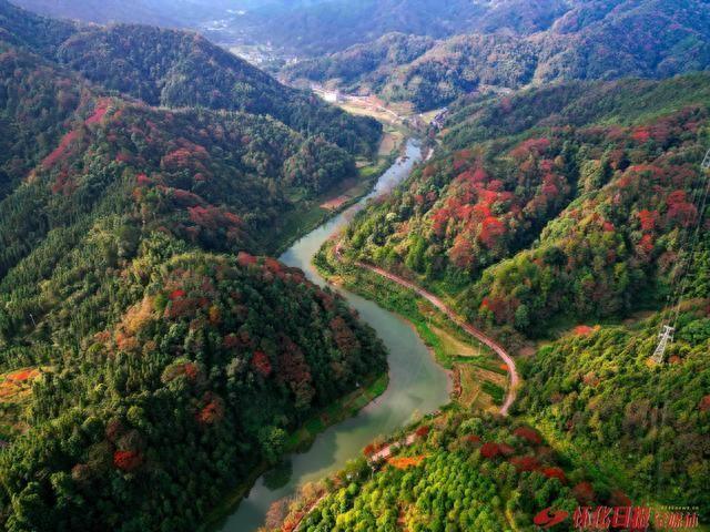 图说|美丽的初冬村景