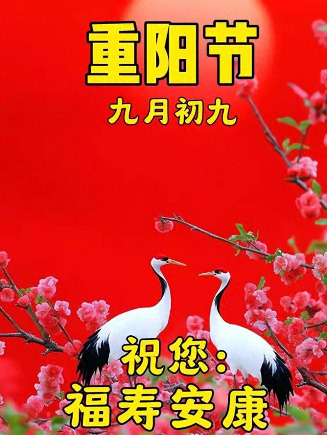 重阳登高，本是豪情，结果咋就进了救援队？