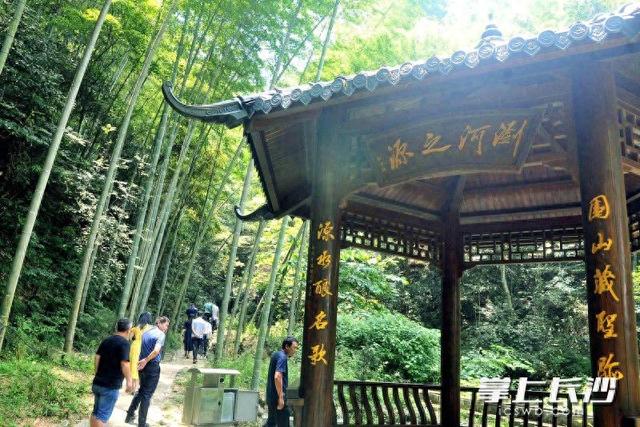 风裹竹香水带甜，在大围山寻一份盛夏清凉