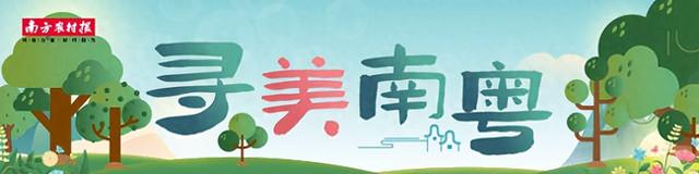 在广东绿美保护地，人与自然彼此治愈 | 寻美南粤⑥