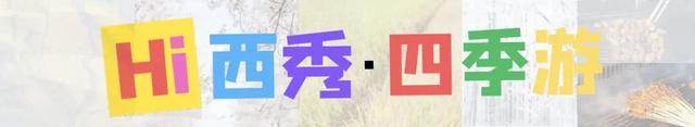 爆满！爆满！西秀区民宿市场火爆