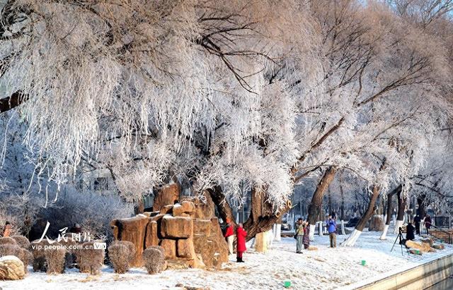 辽宁沈阳：雾凇美景醉游人