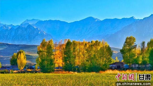 甘肃民乐：祁连山金色秋景如画卷