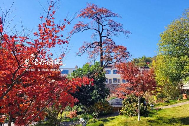 雪窦山深处的古村，周边的红枫胜境太美了，弥勒大佛观景地是亮点