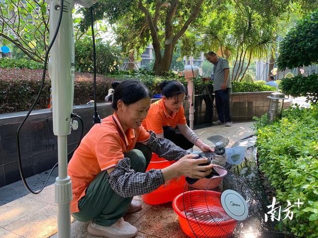 优化物业（优化物管服务有妙招）