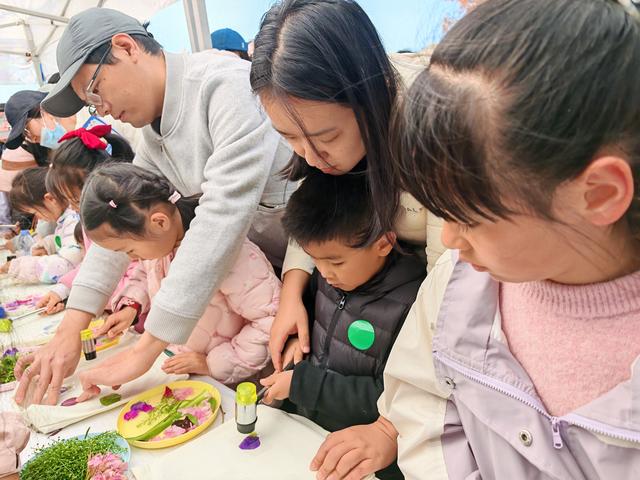 文化古迹成为生态科普课堂 37组亲子家庭大观公园沉浸式体验生态研学