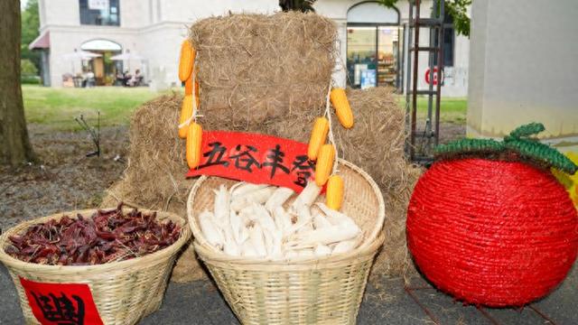 “农民丰收节 金山嘉年华”来了！20+活动嗨玩8天，魔都后花园等你打卡