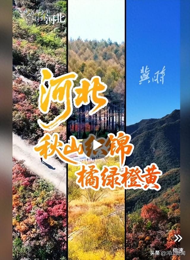 追秋，用一周，看遍这橙黄橘绿的河北