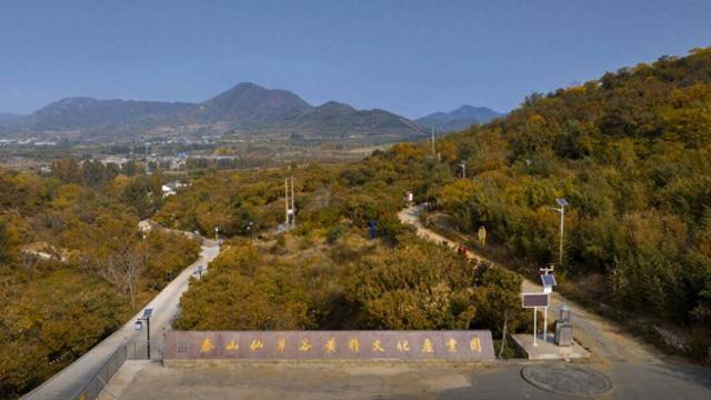 泰山仙草谷成为国家AAA级旅游景区——以黄精产业为核心的生态康养胜地 助力乡村振兴与文旅融合