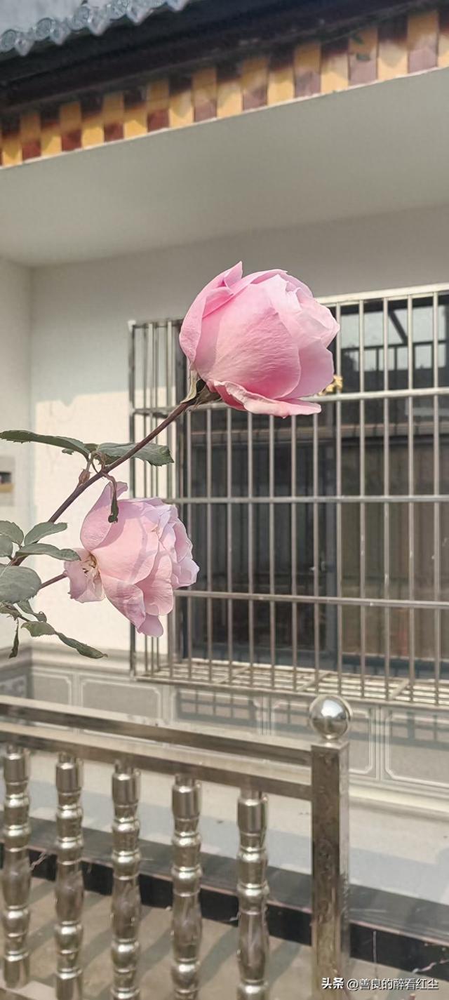 如果一个女人愿意倒贴出轨你的老公	，你可以接受老公的出轨吗？