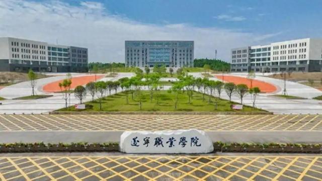 民办四川天一学院（四川分数线最低的民办专科大学需要150分录取2025年参考）