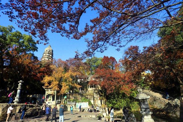 江苏苏州：虎丘景区色彩斑斓