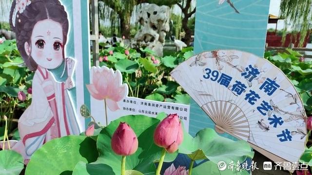 解锁泉城夏日限定浪漫！济南第39届荷花艺术节启幕