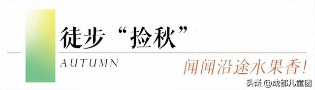 秋天第一座治愈系“果香”山，就在成都南门！