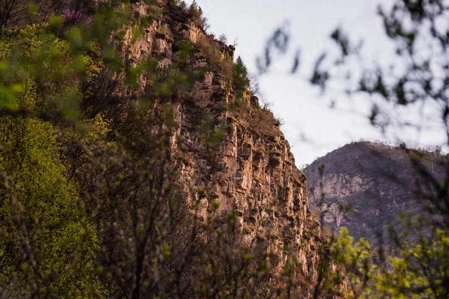 耿亮吉：折腰峪的桃花与老人