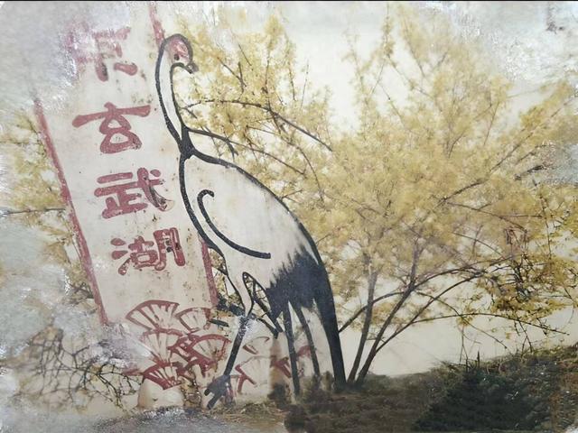 湖畔旧影：玄武湖的时光印记