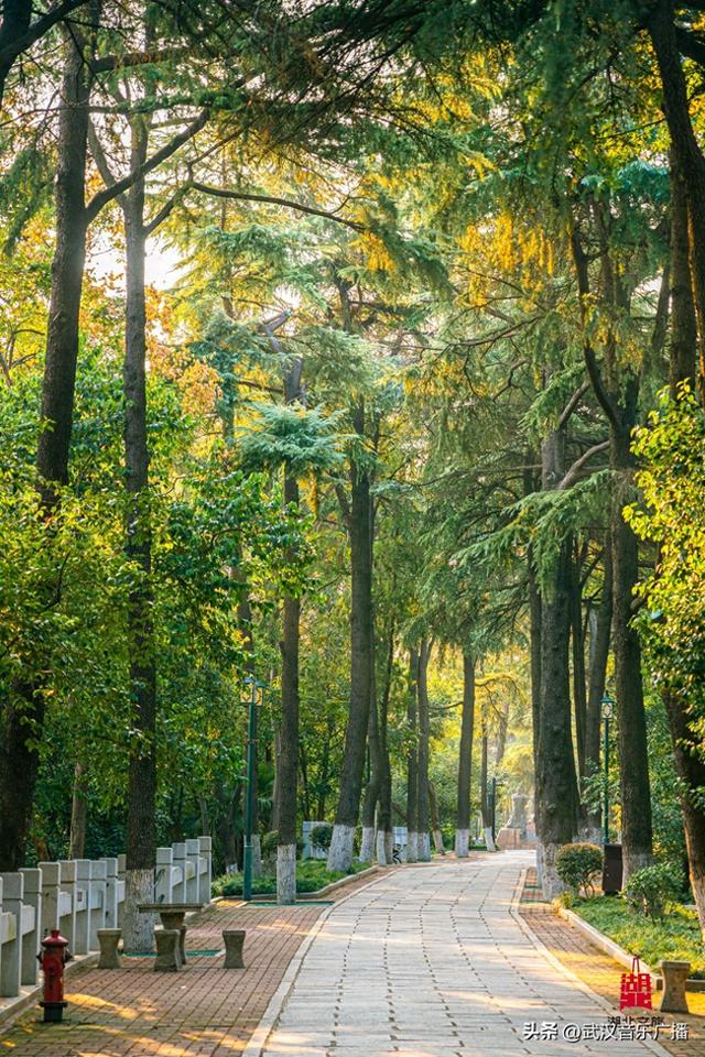 爬一座高不过百米的山，却能看到武汉最“豪横”的景。