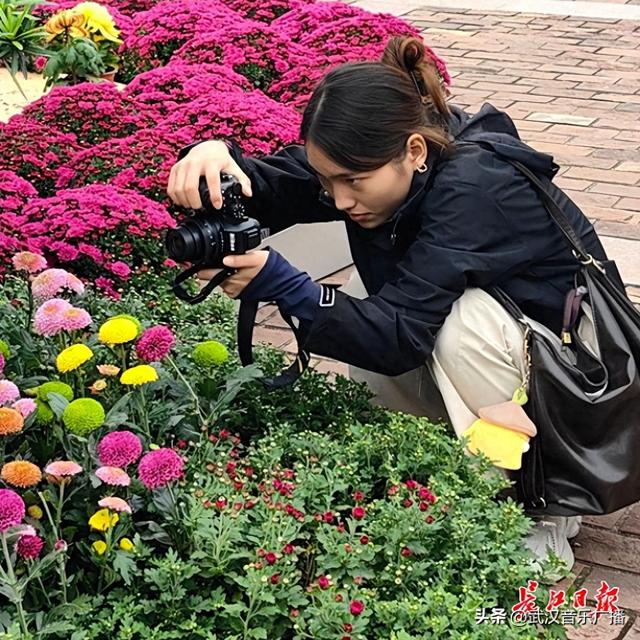 双休日武汉菊展人气爆棚，外地游客坐高铁来赏菊