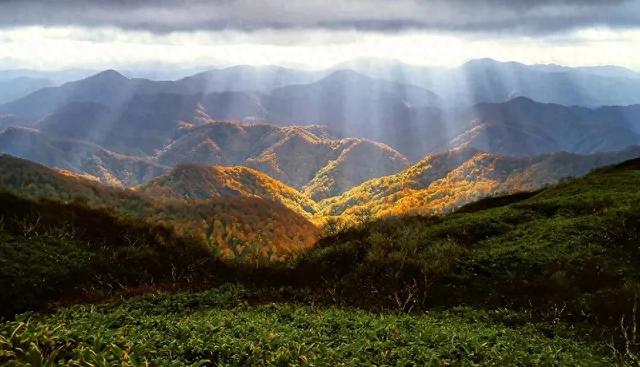 文旅消费场景，到底靠什么才能“破圈”