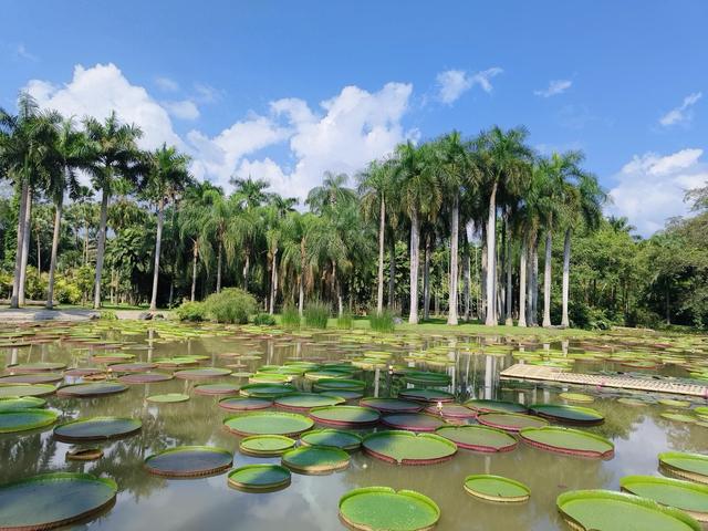 迈开双腿,你会发现世界大不相同。 第1张 迈开双腿,你会发现世界大不相同。 第1张