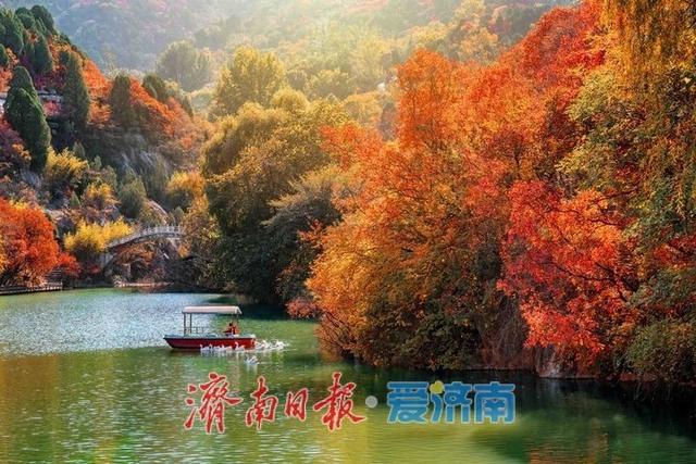 在红叶谷邂逅秋日里的色彩诗篇