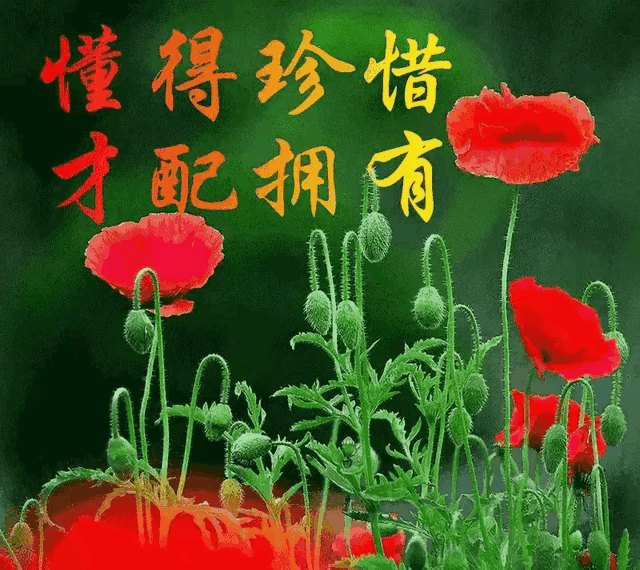 珍惜，才配拥有；在乎，才能长久
