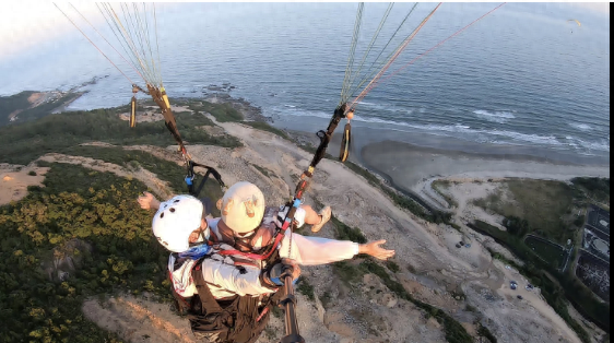 石家庄网站优化（石家庄网站建设）