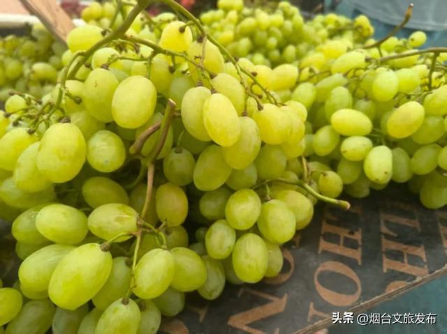 【乐享烟台】 去烟台莱山大集，感受舌尖上的色彩狂欢！