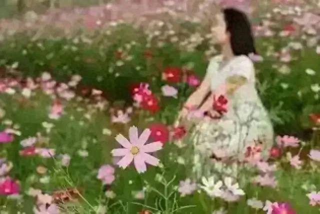 两性关系:男人过五十,永远不要在女人面前,说以下5句话!